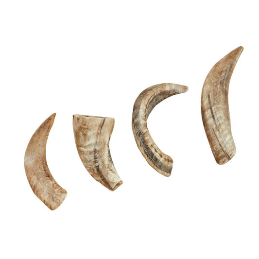 Sheep Horn Chews